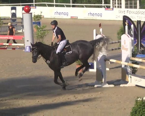 Summermeeting der Springreiter Hachenburg 2016