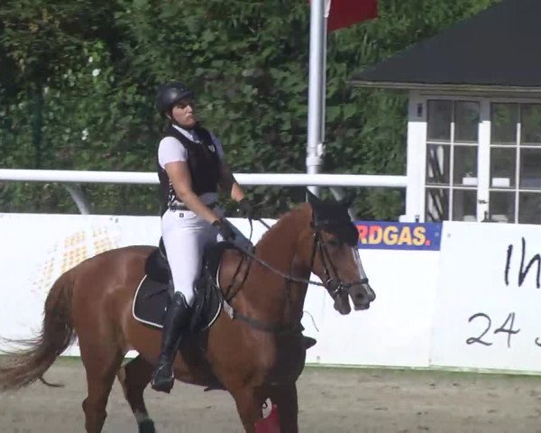 Summermeeting der Springreiter Hachenburg 2016