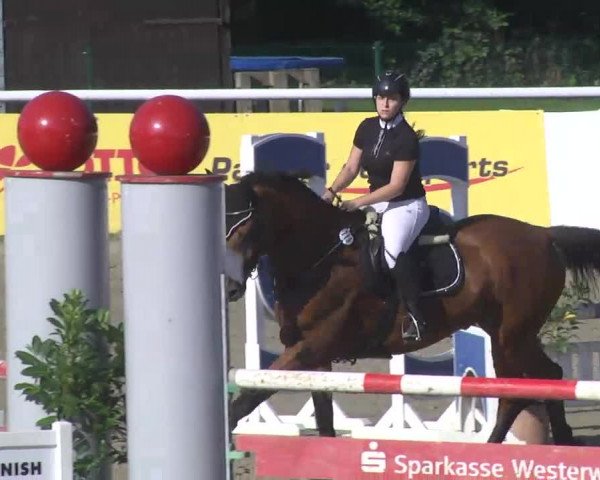 Summermeeting der Springreiter Hachenburg 2016