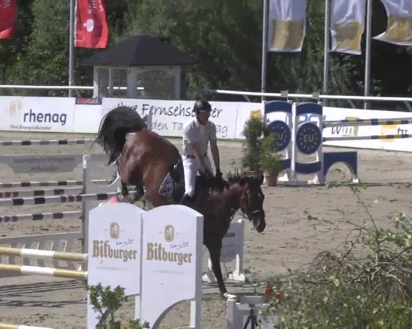 Summermeeting der Springreiter Hachenburg 2016