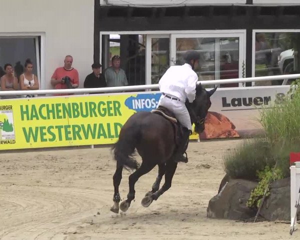 Summermeeting der Springreiter Hachenburg 2016