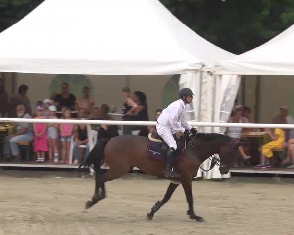 Summermeeting der Springreiter Hachenburg 2016