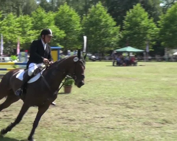Reitturnier Zobbenitz 2016