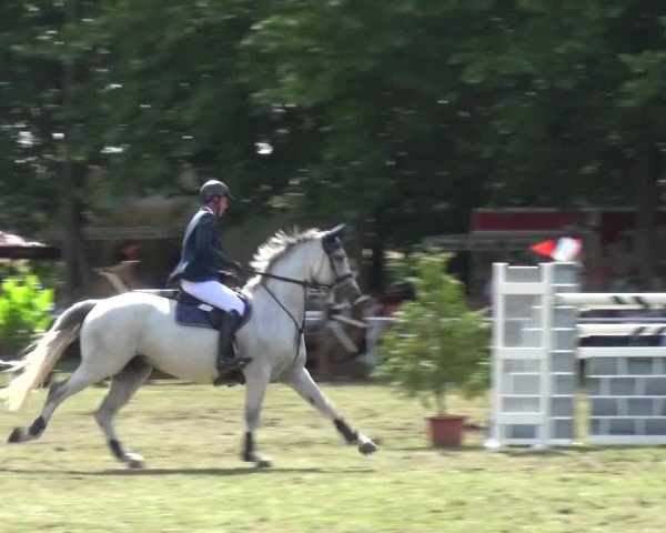 Reitturnier Zobbenitz 2016