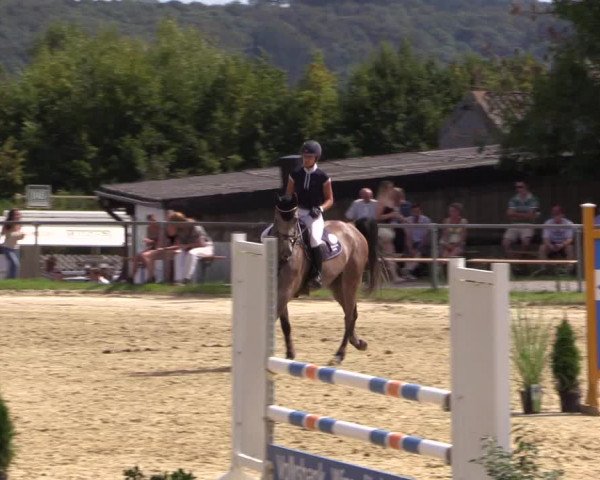 Reitturnier Bühren-Breckerfeld 2016