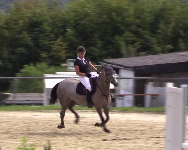 Reitturnier Bühren-Breckerfeld 2016