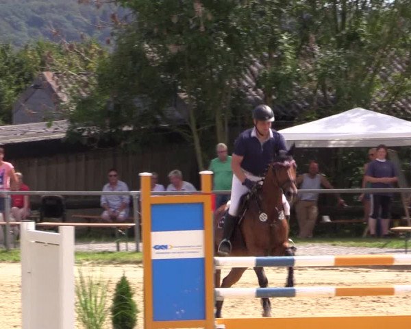 Reitturnier Bühren-Breckerfeld 2016