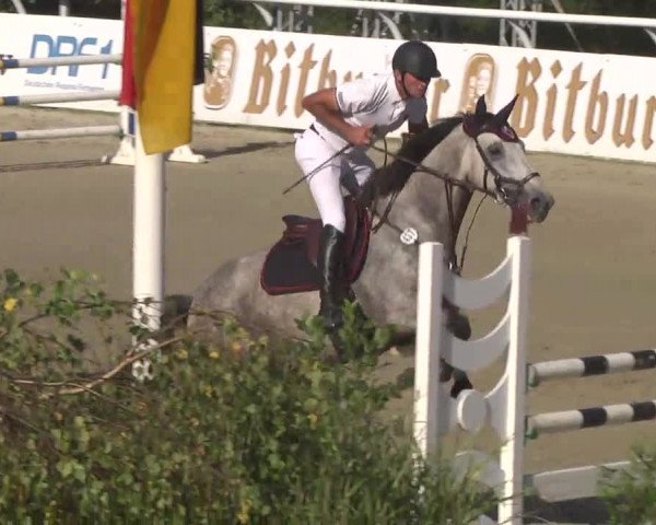 Summermeeting der Springreiter Hachenburg 2016