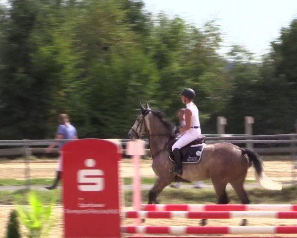 Reitturnier Bühren-Breckerfeld 2016