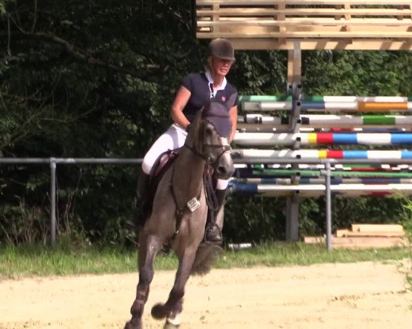 Reitturnier Bühren-Breckerfeld 2016