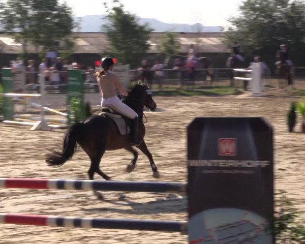 Reitturnier Bühren-Breckerfeld 2016