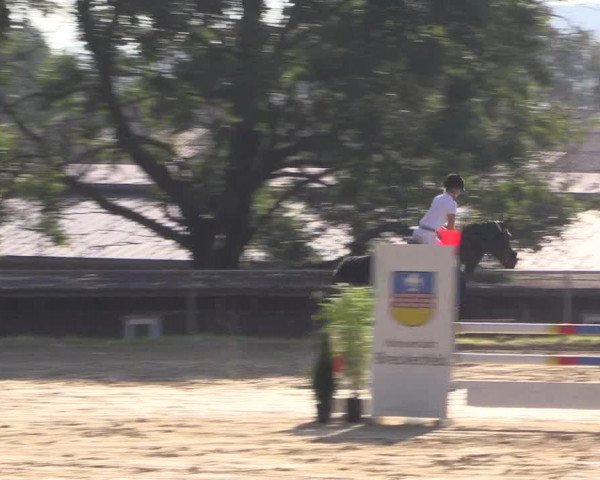 Reitturnier Bühren-Breckerfeld 2016