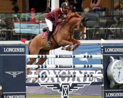 jumper Sirocco (unknown, 2009, from Balou du Rouet)