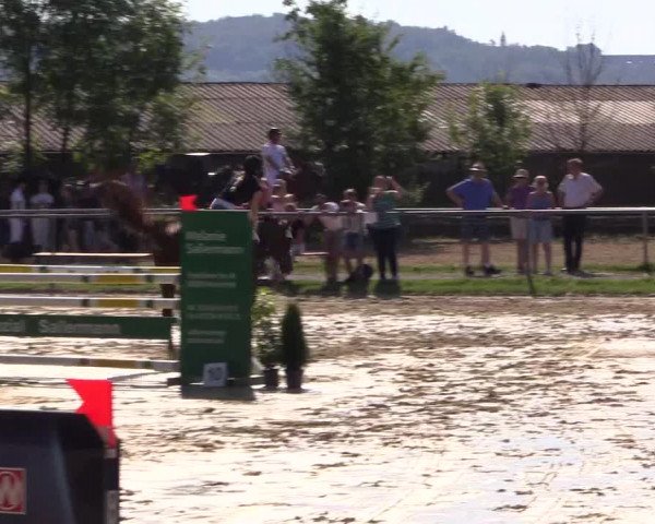 Reitturnier Bühren-Breckerfeld 2016