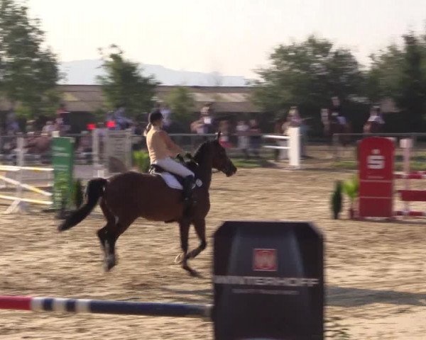 Reitturnier Bühren-Breckerfeld 2016