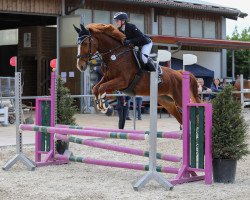 jumper Miss Beautiful (Bavarian, 2004, from Entertainment)
