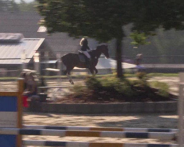 Reitturnier Bühren-Breckerfeld 2016