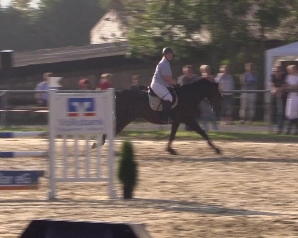 Reitturnier Bühren-Breckerfeld 2016