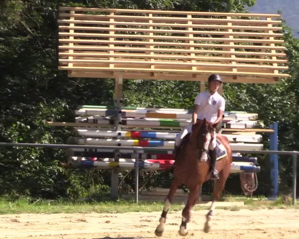 Reitturnier Bühren-Breckerfeld 2016