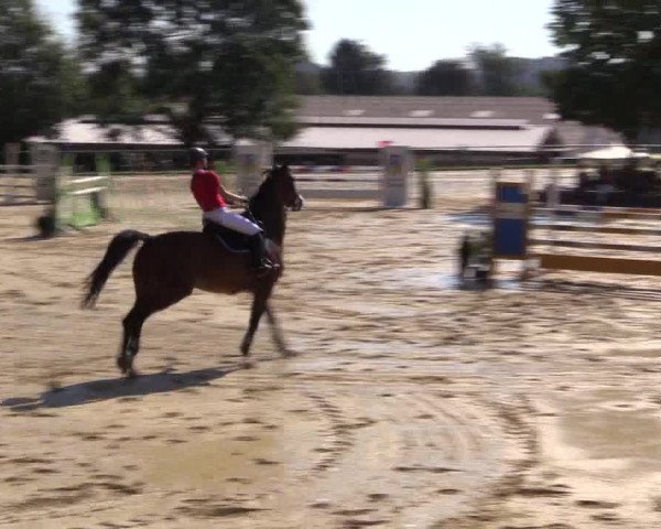 Reitturnier Bühren-Breckerfeld 2016