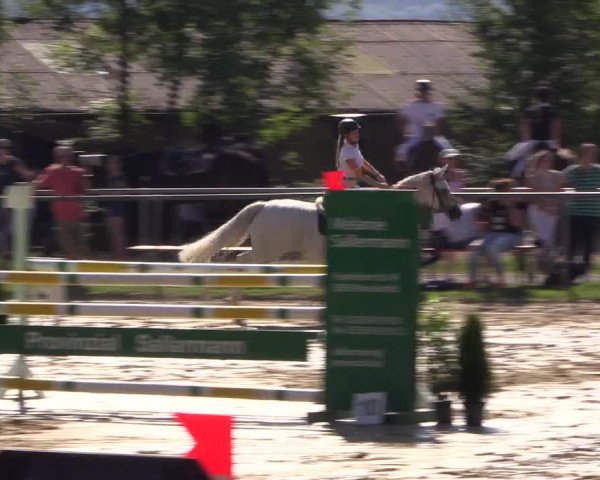 Reitturnier Bühren-Breckerfeld 2016