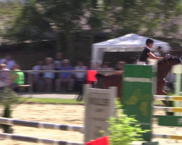 Reitturnier Bühren-Breckerfeld 2016