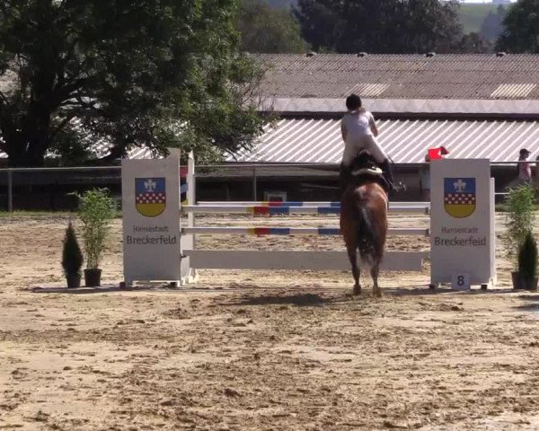 Reitturnier Bühren-Breckerfeld 2016