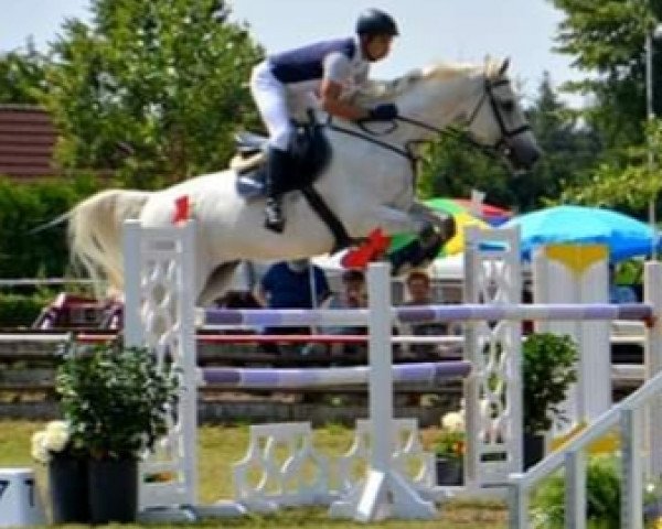 jumper Lavion (Mecklenburg, 2007, from Leviscal)