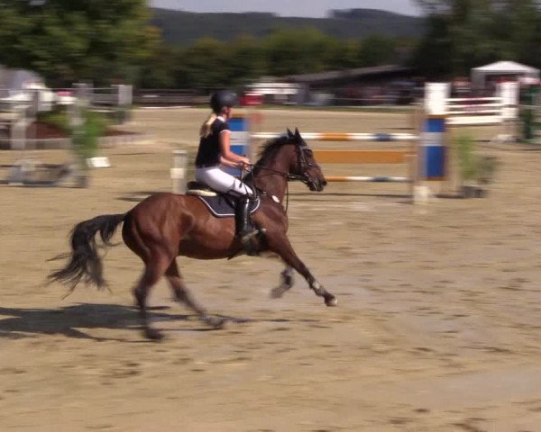 Reitturnier Bühren-Breckerfeld 2016