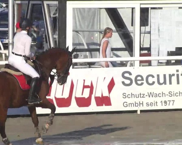 Summermeeting der Springreiter Hachenburg 2016
