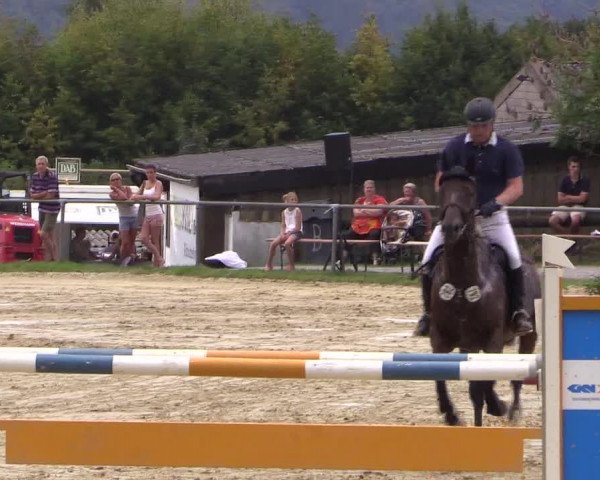 Reitturnier Bühren-Breckerfeld 2016