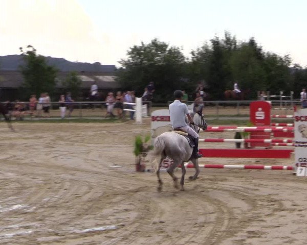 Reitturnier Bühren-Breckerfeld 2016