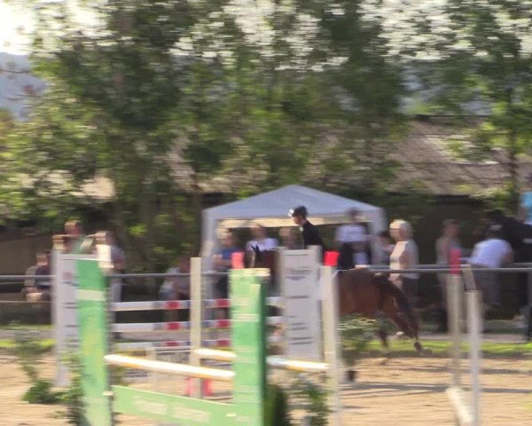 Reitturnier Bühren-Breckerfeld 2016