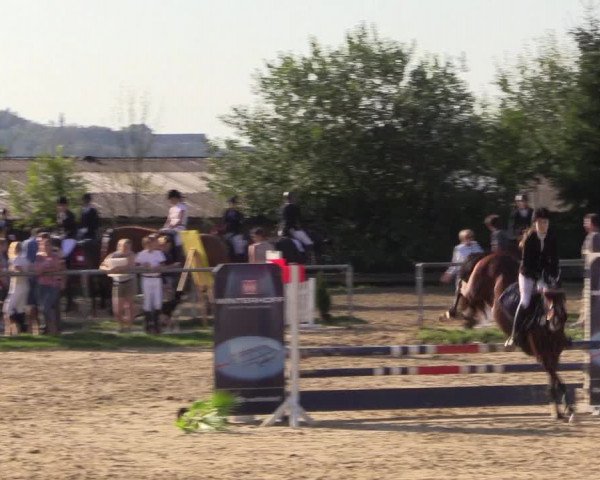 Reitturnier Bühren-Breckerfeld 2016