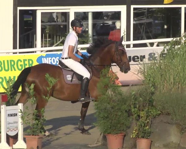 Summermeeting der Springreiter Hachenburg 2016
