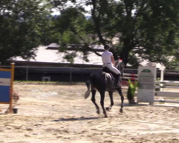 Reitturnier Bühren-Breckerfeld 2016