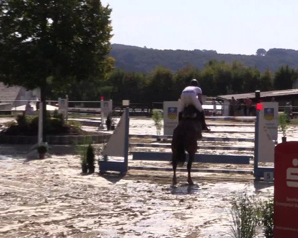 Reitturnier Bühren-Breckerfeld 2016