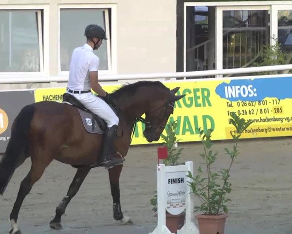 Summermeeting der Springreiter Hachenburg 2016