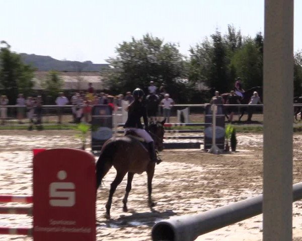 Reitturnier Bühren-Breckerfeld 2016
