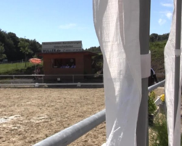 Reitturnier Bühren-Breckerfeld 2016