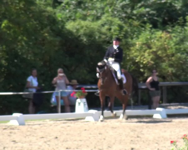 Reitturnier Düren - An der Kuhbrücke 2016
