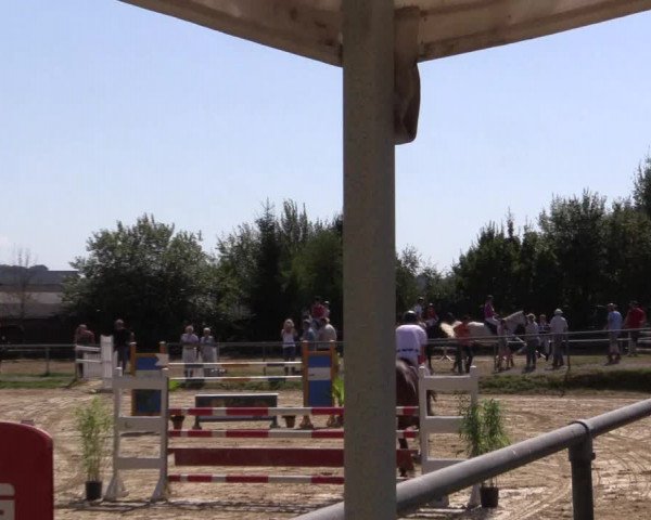 Reitturnier Bühren-Breckerfeld 2016