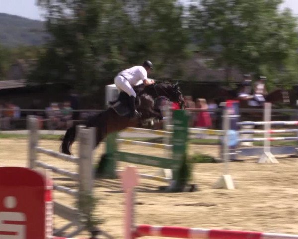 Reitturnier Bühren-Breckerfeld 2016
