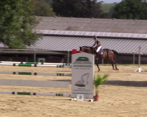 Reitturnier Bühren-Breckerfeld 2016