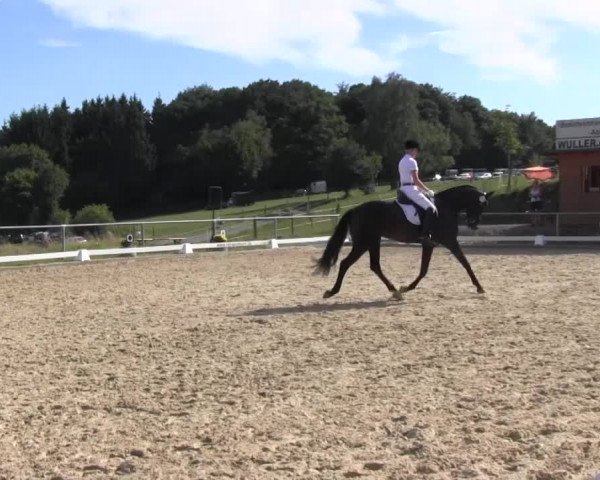 Reitturnier Bühren-Breckerfeld 2016