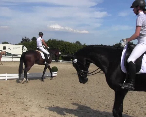 Reitturnier Bühren-Breckerfeld 2016