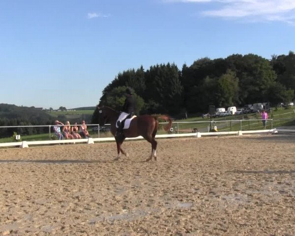 Reitturnier Bühren-Breckerfeld 2016