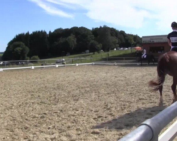 Reitturnier Bühren-Breckerfeld 2016