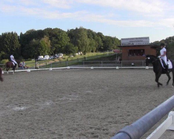 Reitturnier Bühren-Breckerfeld 2016