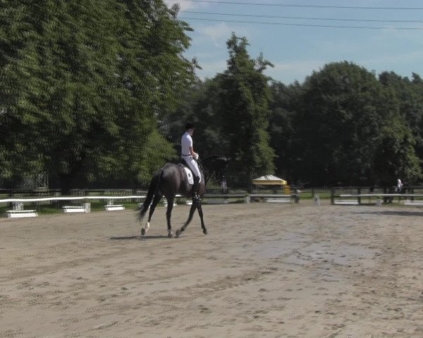 Reitturnier Recklinghausen 2016